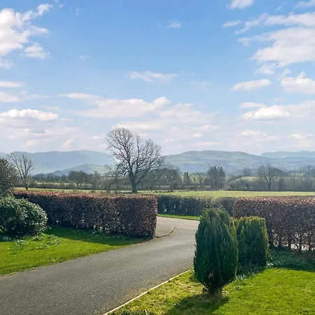 Violet Bank * 科克茅斯